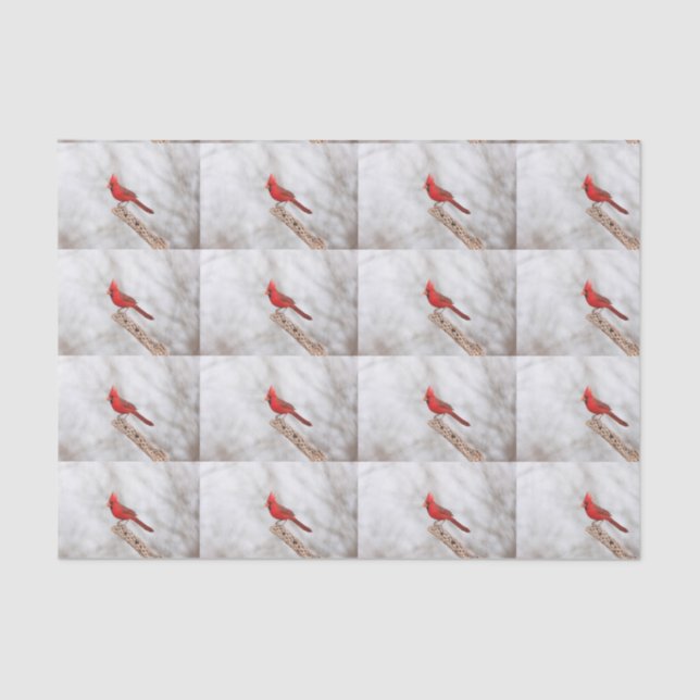Northern Cardinal on a branch Tissue Paper (Front)
