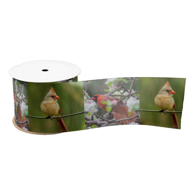 Northern Cardinal Pair Satin Ribbon (Spool)