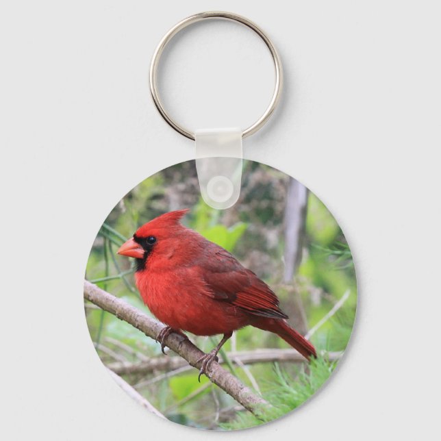 Northern Cardinal Photo Keychain (Front)