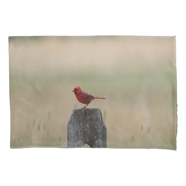 Northern cardinal pillowcase (Front)