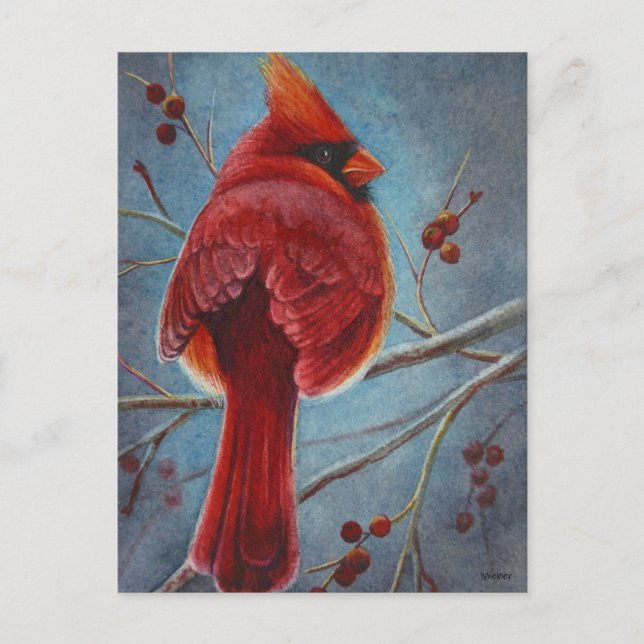 Northern Cardinal Red Bird Berries Watercolor Art Postcard (Front)