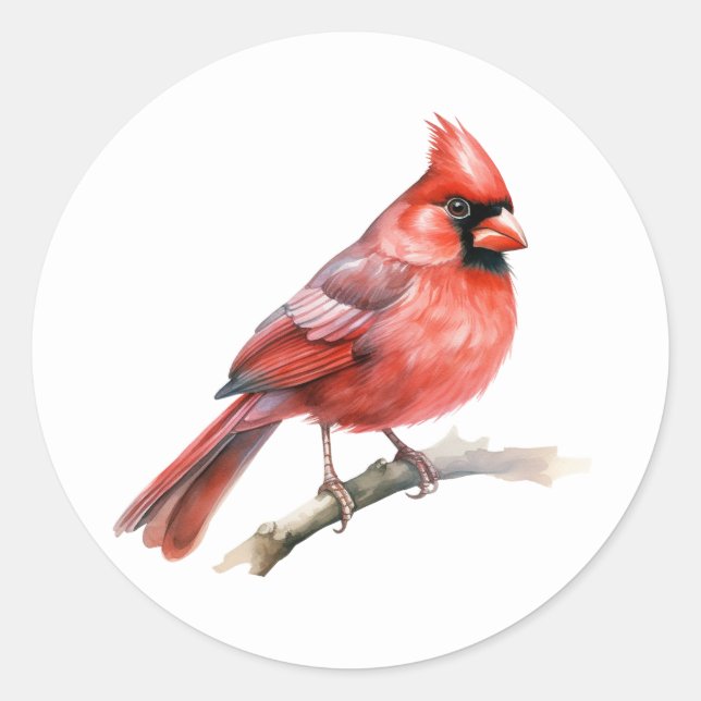 Northern Cardinal Songbird Stickers (Front)