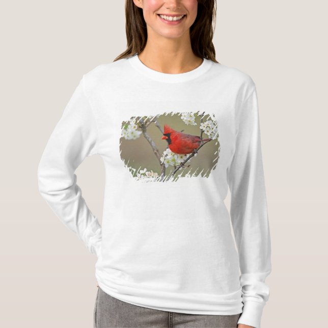 Northern Cardinal T-Shirt (Front)