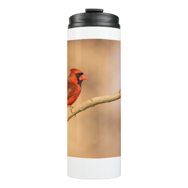 Northern Cardinal  Thermal Tumbler (Front)