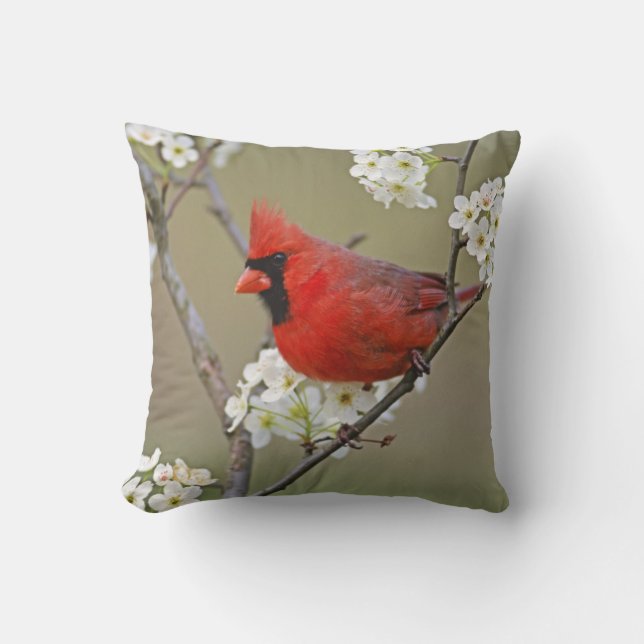 Northern Cardinal Throw Pillow (Front)