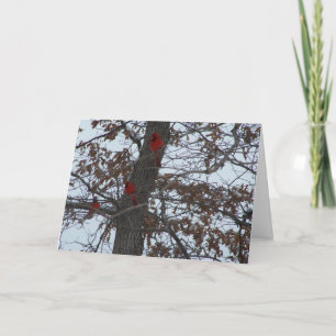 Northern Cardinals/Bright Spots Card