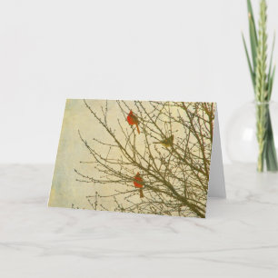 Northern Cardinals in a Tree Card