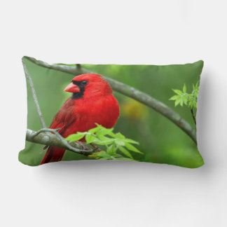 Northern cardinals lumbar pillow