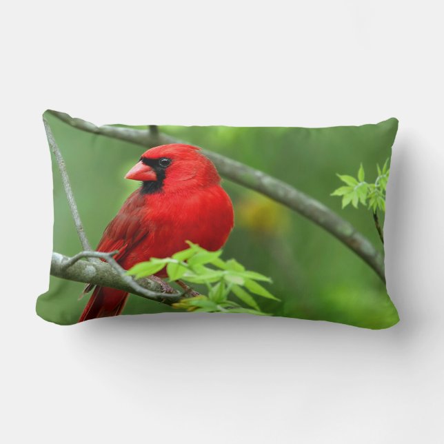 Northern cardinals lumbar pillow (Front)