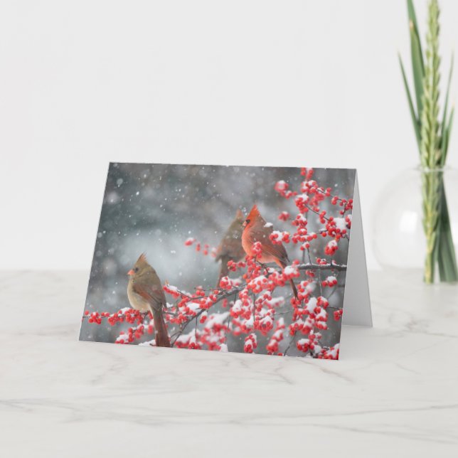 Northern Cardinals | Marion, Illinois Card (Front)