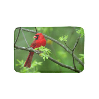 Northern cardinals on the tree bath mat