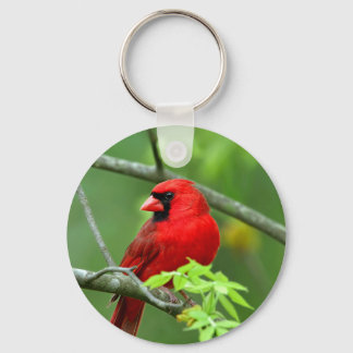 Northern cardinals on the tree keychain