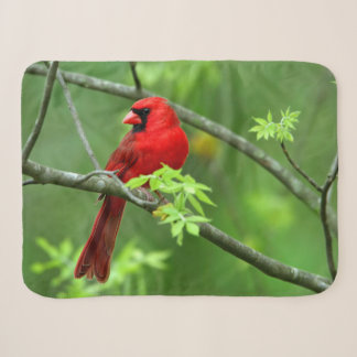 Northern cardinals on the tree sherpa blanket