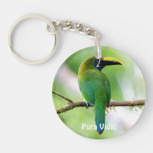 Northern Emerald-Toucanet & Blue Morpho Butterfly Keychain
