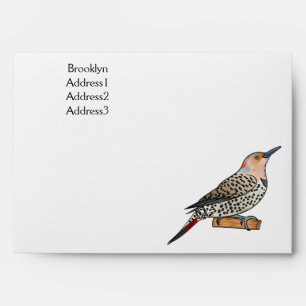 Northern flicker bird cartoon illustration envelope