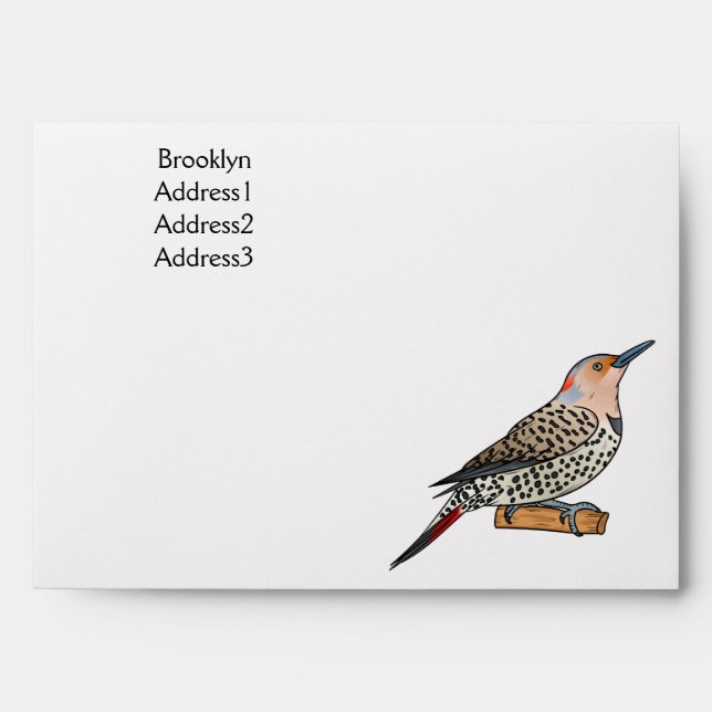 Northern flicker bird cartoon illustration envelope (Front)