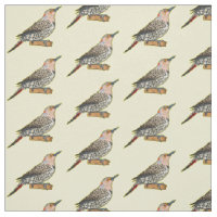 Northern flicker bird cartoon illustration