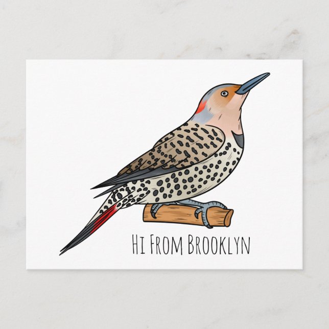 Northern flicker bird cartoon illustration postcard (Front)