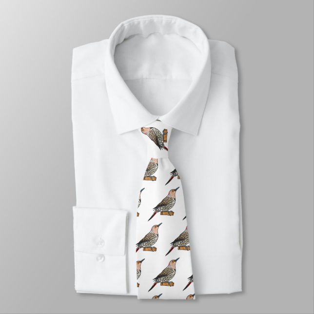 Northern flicker bird cartoon illustration  tie (Tied)
