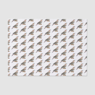 Northern flicker bird cartoon illustration  tissue paper