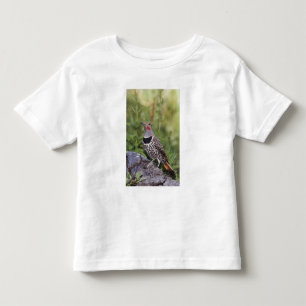 Northern Flicker, Colaptes auratus, Red-shafted Toddler T-shirt