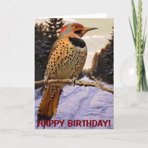 Northern flicker customizable greetings card