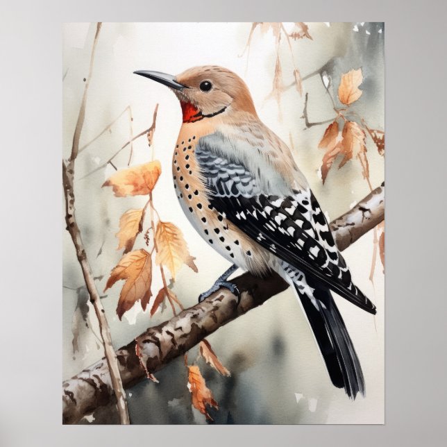 Northern Flickr Bird Art Imprimer Poster (Devant)
