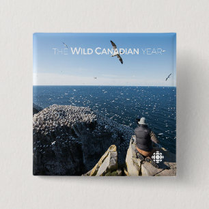 Northern Gannets 2 Inch Square Button