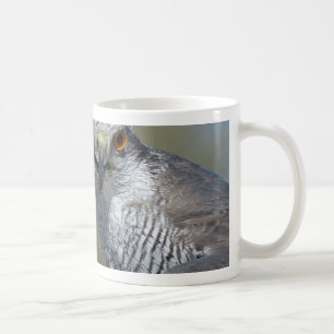 Northern Gohawk Close Up Coffee Mug
