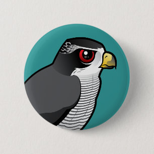 Northern Goshawk 2 Inch Round Button