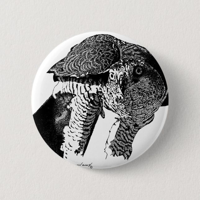 Northern Goshawk 2 Inch Round Button (Front)