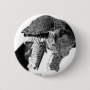 Northern Goshawk 2 Inch Round Button