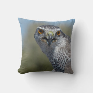 Northern Goshawk Close Up Throw Pillow
