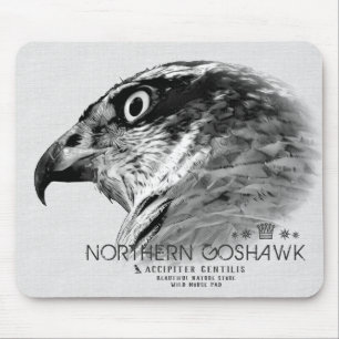Northern Goshawk Mouse Pad