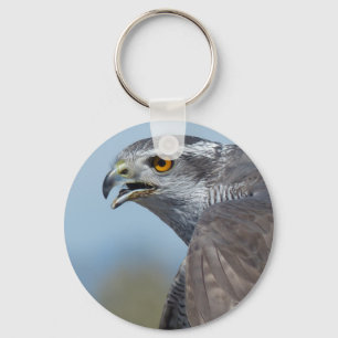 Northern Goshawk Screeching Keychain