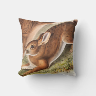 Northern Hare (Lepus Americanus) Illustration Throw Pillow