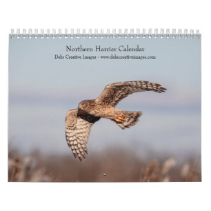 Northern Harrier 2026 Calendar