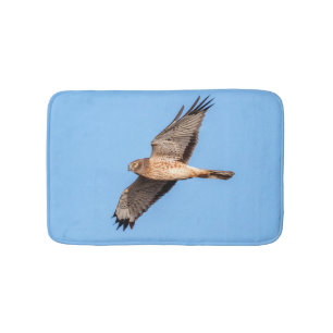 Northern Harrier in Flight Bath Mat