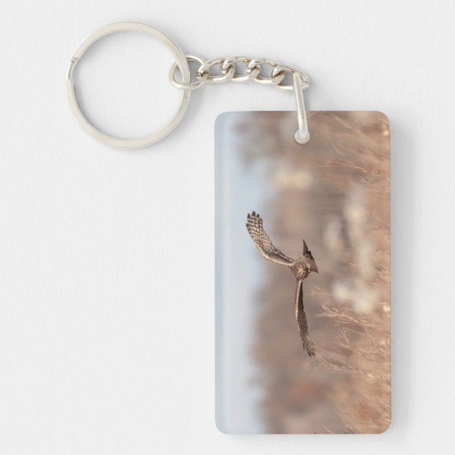 Northern Harrier Keychain (Front)