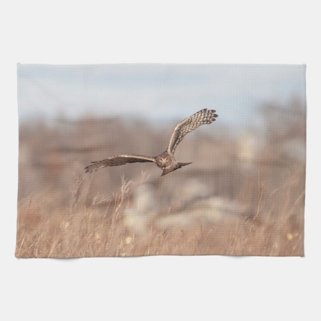 Northern Harrier Kitchen Towel (Horizontal)