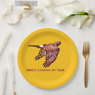 Northern Harrier, Looking at You Paper Plate