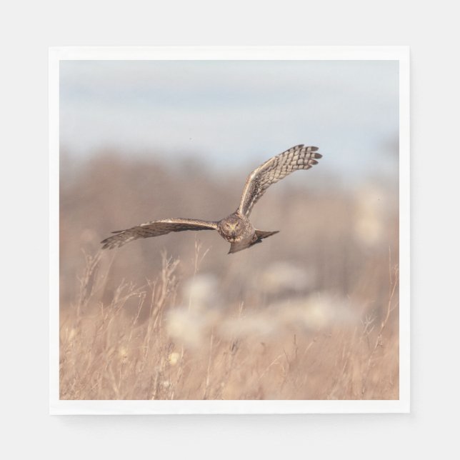 Northern Harrier Napkin (Front)
