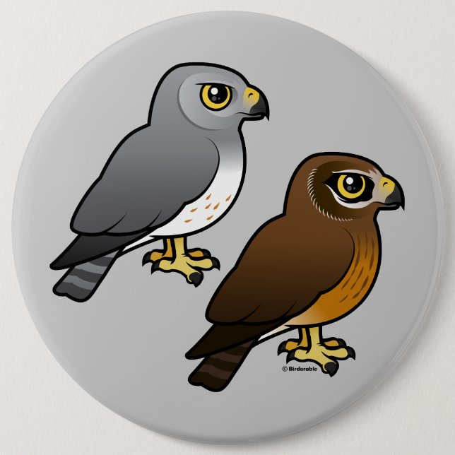 Northern Harrier pair 6 Inch Round Button (Front)