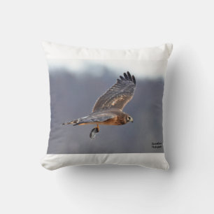 Northern Harrier Throw Pillow