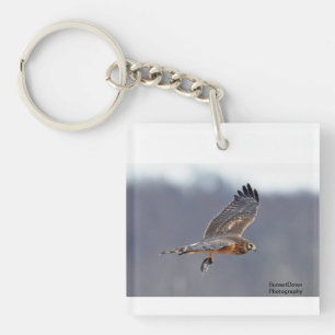 Northern Harrier with prey Keychain