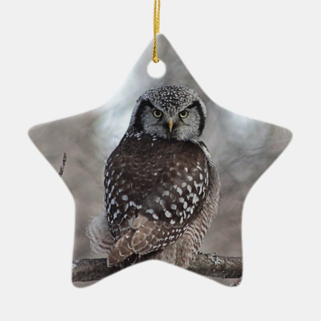 Northern Hawk Owl Ceramic Ornament (Front)