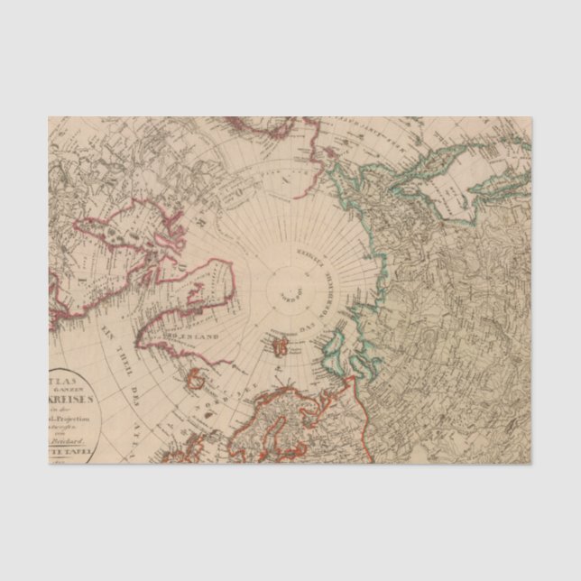 Northern Hemisphere, Arctic Tissue Paper (Front)
