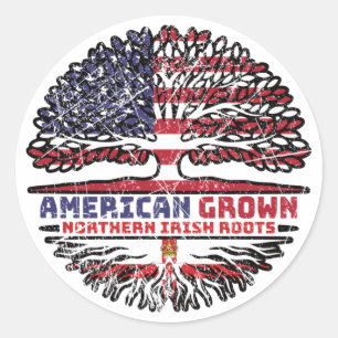 Northern Ireland Irish Ulster US American USA Classic Round Sticker
