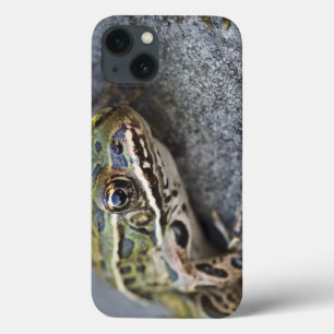 Northern Leopard frog, See-through Island, iPhone 13 Case