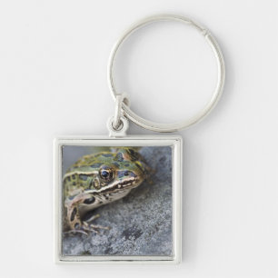 Northern Leopard frog, See-through Island, Keychain